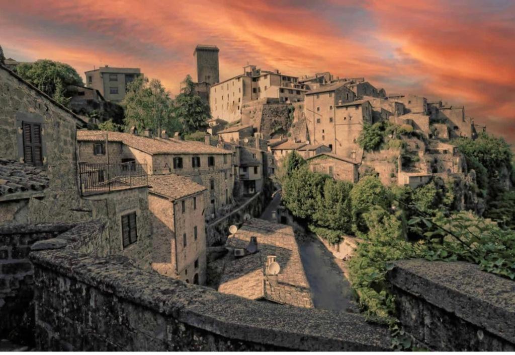 דירות Civitella dʼAgliano Cortile Nel Borgo מראה חיצוני תמונה